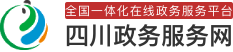 四川省政务服务网